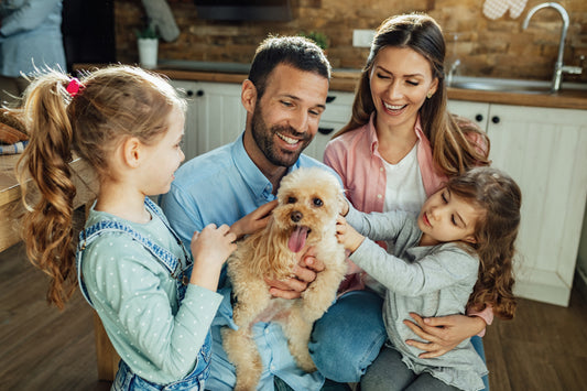 Embracing the Canine Connection: The Benefits of Dog Adoption