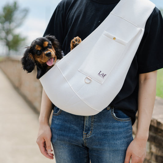 Comfortable Pet Carrier for Small Dogs