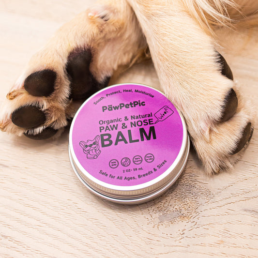 Organic Dog Paw Balm with Shea Butter & Coconut Oil