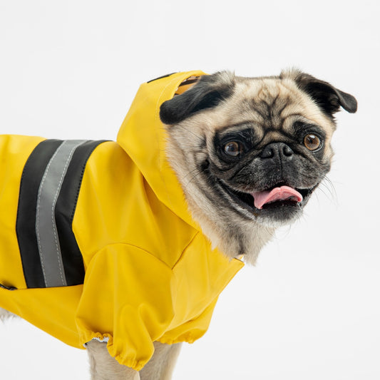 Aden Bundle Raincoat in Yellow + Life Jacket