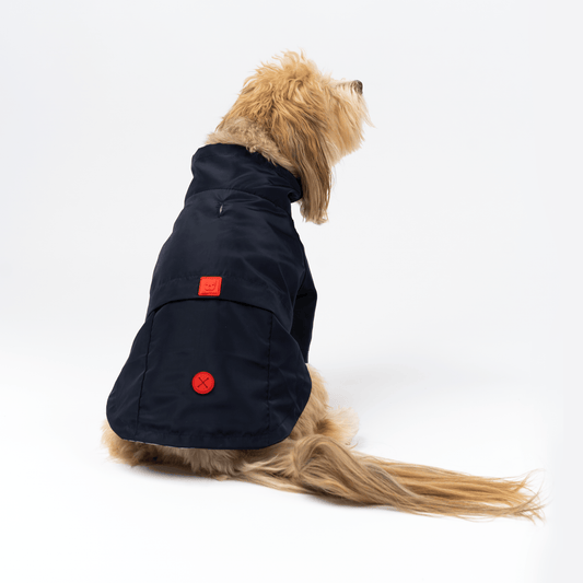 Jean-Paul Bundle Raincoat + Life Jacket
