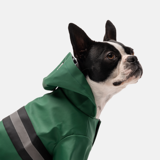 Aden Bundle Raincoat in Green + Life Jacket